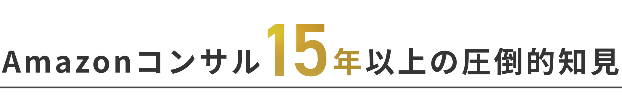 Amazonコンサル15年以上の圧倒的知見