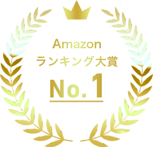 Amazon ランキング大賞 No.1