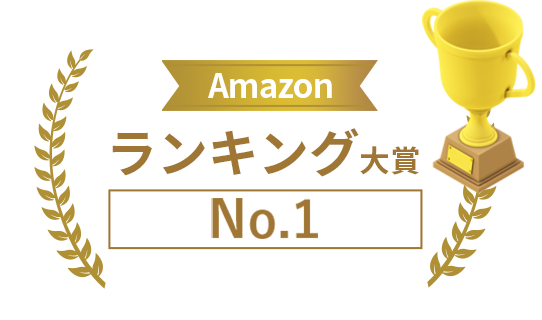Amazonランキング大賞No.1